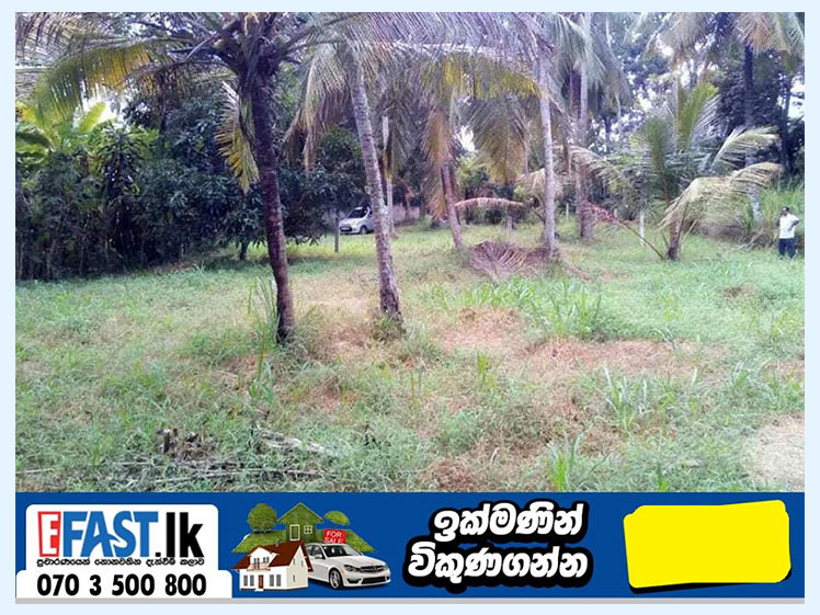 LAND | FOR SALE | RAMBUKKANA